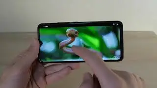 UMIDIGI F1 Review: Display