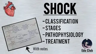 Shock | Classification | Pathophysiology | Hypovolemic Shock | Treatment ||Cardiovascular Physiology