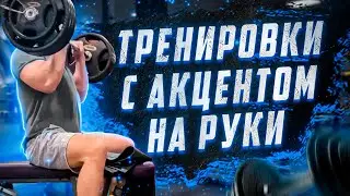 Моя тренировочная программа с акцентом на руки | Разбор тренировочной программы
