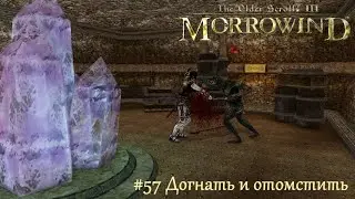 TES III Morrowind Letsplay. #57 Догнать и отомстить