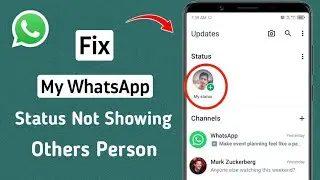 My WhatsApp Status Not Showing to Others Person Problem Solve / 2024