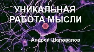 УНИКАЛЬНАЯ РАБОТА МЫСЛИ... Андрей Шаповалов