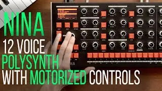 NINA: 12 Voice ANALOG POLYSYNTH with MOTORIZED CONTROLS