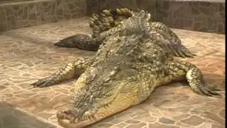 Самарский зоопарк посетители дети из дома ребёнка ИК-15