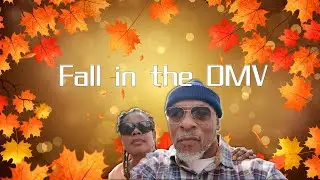 Fall in the DMV - Experience Skyline Drive and Nearby Vineyards! | Drone over Mountains