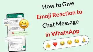 How to Give Emoji Reaction to Chat Message in WhatsApp?