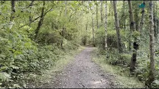 A peaceful walk along a tree-lined trail on a sunny day