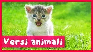 Versi animali per bambini