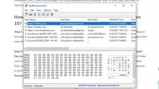 How to export Microsoft Edge saved passwords in Windows 10
