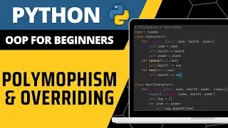 Python OOP For Beginners - Polymorphism & Overriding Explained