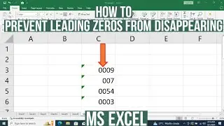 How to Stop Leading Zeros From Disappearing in MS Excel | Prevent Leading Zeros From Disappearing