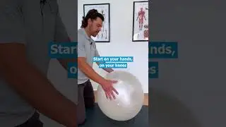 Swiss Ball Exercise for Lower Back Pain