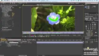 Using the Roto Brush to Create Mattes and Extract Objects in Adobe After Effects