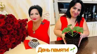 Здравствуйте ☕️! Кофе с Арусей Кавказ🤗 пьём кофе и готовим вместе с любовью❤️☝️