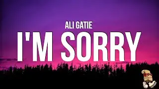 Ali Gatie - Im Sorry (Lyrics)