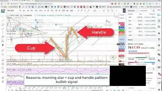 How to Setup Free AI Trading Software Genotick - Part Two(with Bonus)