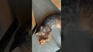 Они всю жизнь вместе 🫂 