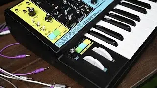 Moog Matriarch Semi-Modular Analog Synthesizer  | Overview & Demo