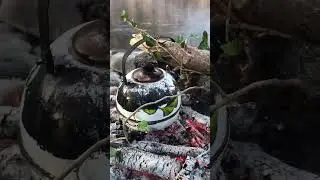Мира Добра Любви