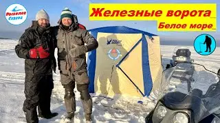 ✅ КОРЮШКА🎣🐠 | СУХОЕ МОРЕ 2023 | ЖЕЛЕЗНЫЕ ВОРОТА | #рыболов_севера