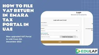 How to File Vat Return in Emara Tax Portal in UAE