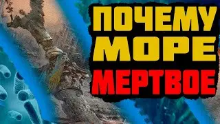 ПОЧЕМУ МЕРТВОЕ МОРЕ ТАК НАЗВАНО