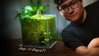 The Desktop Shrimp Cube (30 Days Later) | Great Growth!