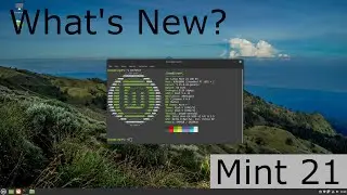 What’s new in Linux Mint 21 Cinnamon?