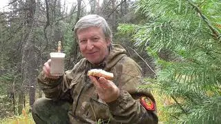 ПВД легкоходника, по горам и лесам, тропа Васильховая.