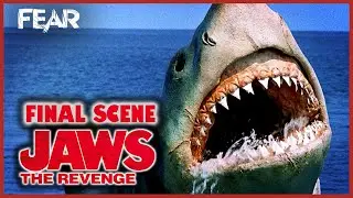 The Shark Roars (Jaws 4 Final Scene) | Jaws: The Revenge | Fear