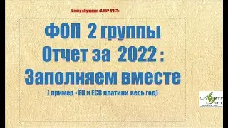 Пример заполнения декларации ФЛП 2 гр.за 2022 г.ЕН и ЕСВ платили целый год