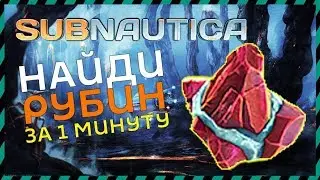 Subnautica ГДЕ НАЙТИ РУБИН