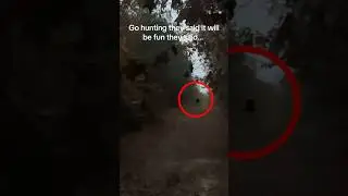 If You Hear This in the Woods… RUN!