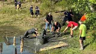 NKY emergency crews free horse from muddy pond