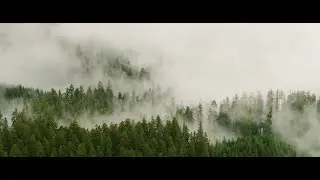 Marys Peak Aerials 4K | Shot on DJI Inspire 2