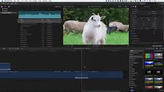 Final Cut Pro X 10.3 - Тримминг Ripple