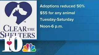 Oak Ridge Animal Shelter to offer adoption discount