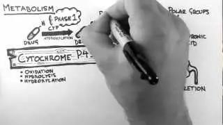 Pharmacokinetics 4 - Metabolism