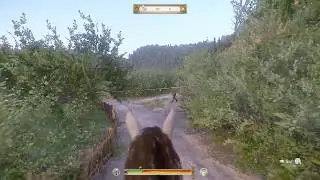 Kingdom Come: Deliverance Royal Edition - Black Peter Ambush 200 IQ Play