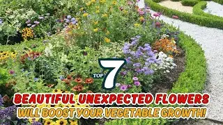 🌻 7 UNEXPECTED Flowers That Will BOOST Your Vegetable Growth! 🌽🌹 // Gardening Ideas