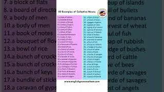 50 Examples of Collective Nouns  