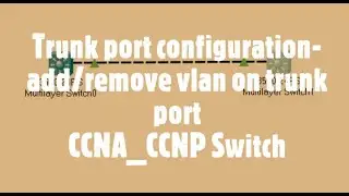 How to configure trunk port -add/remove vlan on trunk port | CCNA_CCNP_Switch