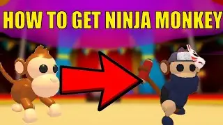 HOW TO GET A NINJA MONKEY | Roblox Adopt Me