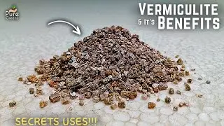 How To Use Vermiculite For Plants? [Its Benefits & Side Effects*]