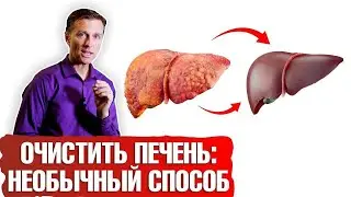 Как очистить печень от жира? Необычный способ ✔️