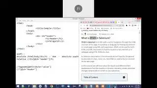 python selenium xpath online class