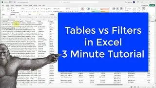 Excel Tables vs. Filters: The BEST Way to Organize Your Data