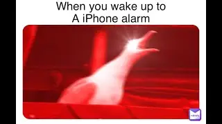 IPHONE ALARM 10 HOURS