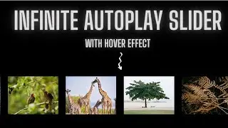 Make an Infinite Autoplay Slider with Hover Effect |  Autoplay Image Slider with HTML - CSS only.