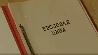 Бросовая цена | Вещдок. Особый случай. Шрамы войны